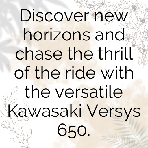 Kawasaki Versys 650 Captions Photo for Instagram In [2025]-rblkWr