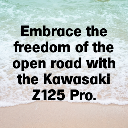 Kawasaki Z125 Pro Captions Image for Instagram In [2025]-zbIcO9