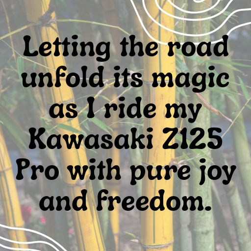 Kawasaki Z125 Pro Captions Photo for Instagram In [2025]-1wA0QL