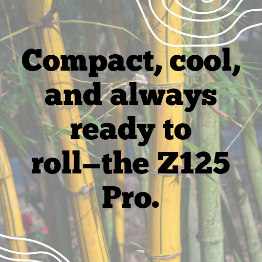 Kawasaki Z125 Pro Captions Photo for Instagram In [2025]-3ehfrA