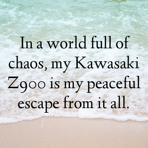 Kawasaki Z900 Captions Image for Instagram In (2025)-1QHLJB