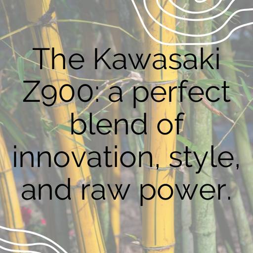 Kawasaki Z900 Captions Photo for Instagram In (2025)-VH746K