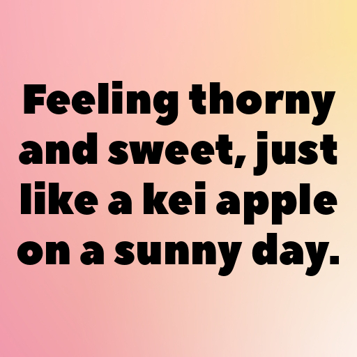 158+ Kei Apple Captions For Instagram In (2025) 4 Kei Apple Captions Image For Instagram In (2025)-1ha36t