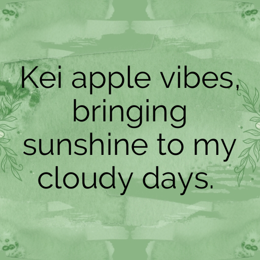 158+ Kei Apple Captions For Instagram In (2025) 10 Kei Apple Captions Image For Instagram In (2025)-8OvSEo
