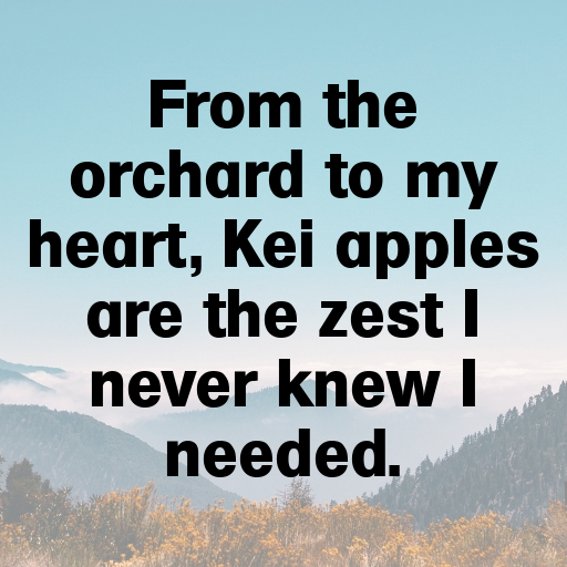 158+ Kei Apple Captions For Instagram In (2025) 8 Kei Apple Captions Image For Instagram In (2025)-Hzzdrn