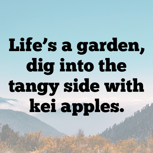 158+ Kei Apple Captions For Instagram In (2025) 9 Kei Apple Captions Photo For Instagram In (2025)-pxRmmq