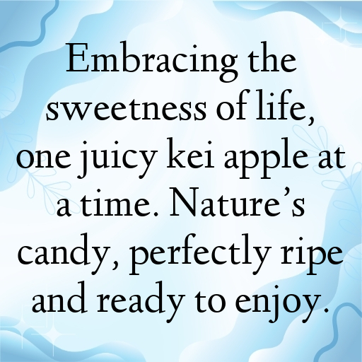 158+ Kei Apple Captions For Instagram In (2025) 3 Kei Apple Captions Photo For Instagram In (2025)-T5hE4W