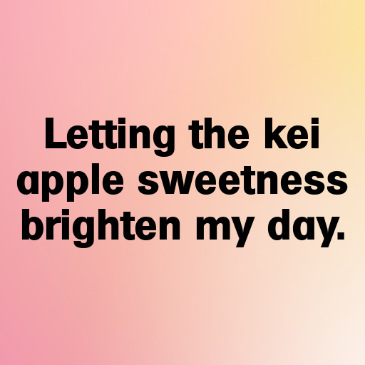 158+ Kei Apple Captions For Instagram In (2025) 5 Kei Apple Captions Photo For Instagram In (2025)-UZabLk