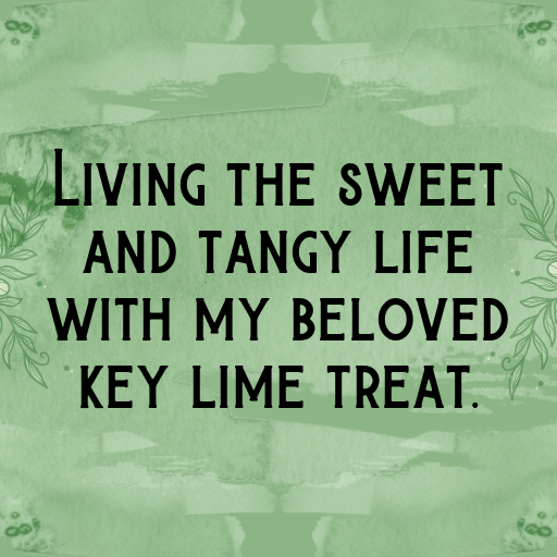 177+ Key Lime Captions For Instagram In (2025) 10 Key Lime Captions Image For Instagram In (2025)-CwnlNk