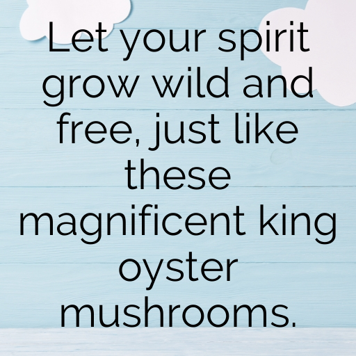 198+ King Oyster Mushroom Captions For Instagram In (2025) 7 King Oyster Mushroom Captions Photo For Instagram In (2025)-e4S9sA