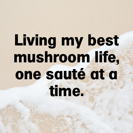 198+ King Oyster Mushroom Captions For Instagram In (2025) 5 King Oyster Mushroom Captions Photo For Instagram In (2025)-LCfT7H