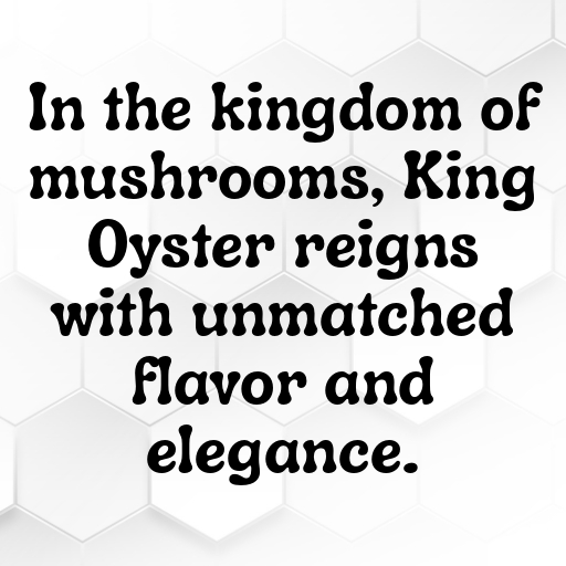 198+ King Oyster Mushroom Captions For Instagram In (2025) 8 King Oyster Mushroom Captions Photo For Instagram In (2025)-U1LaEZ