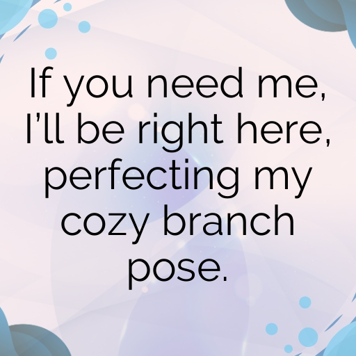 Koala Captions Image For Instagram In 2025-hqFif2