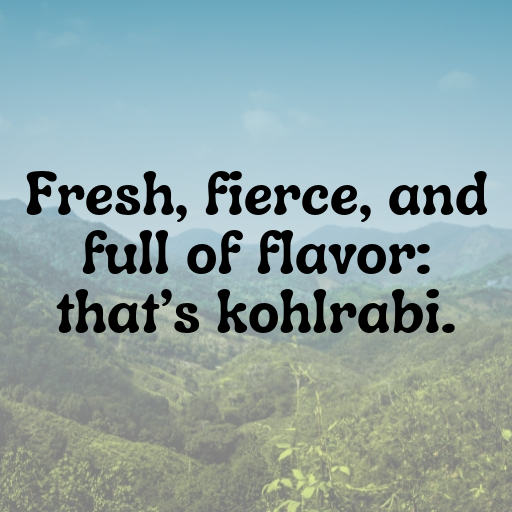 171+ Kohlrabi Captions For Instagram In 2025 5 Kohlrabi Captions Image For Instagram In 2025-NeGzWU