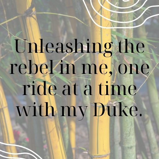 168+ KTM 125 Duke Captions for Instagram In 2025 5 KTM 125 Duke Captions Image for Instagram In 2025-uDbSCu