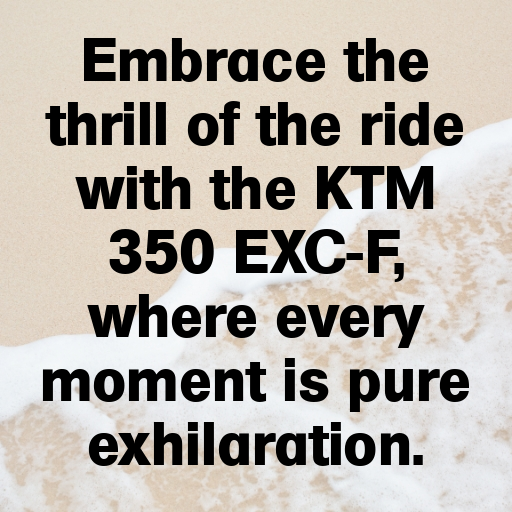 157+ KTM 350 EXC-F Captions for Instagram In (2025) 10 KTM 350 EXC-F Captions Photo for Instagram In (2025)-Ft2ZwE