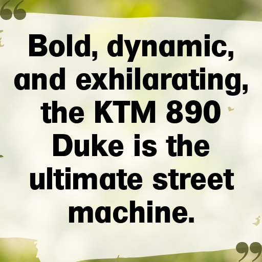 KTM 890 Duke Captions Image for Instagram In 2025-PUbEsj