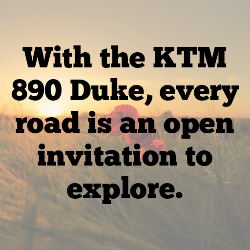 KTM 890 Duke Captions Image for Instagram In 2025-YAB5ja