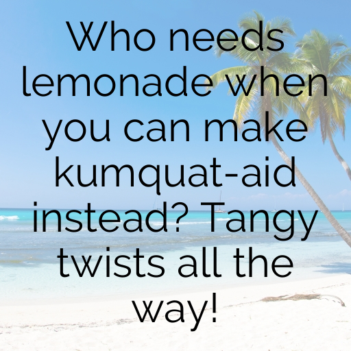 Kumquat Captions Photo For Instagram In [2025]-sRObvc