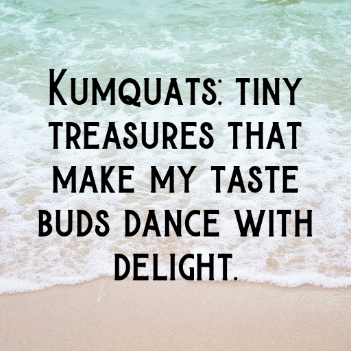 Kumquat Captions Photo For Instagram In [2025]-ybbyRo