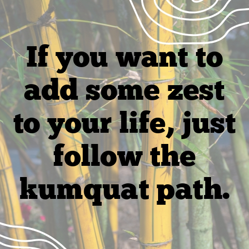 Kumquat Captions Photo For Instagram In [2025]-ZaXEbp