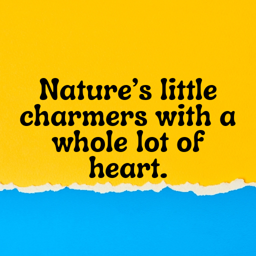 Ladybug Captions Image For Instagram In 2025-4LgXED