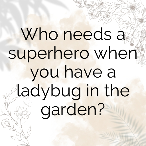 Ladybug Captions Image For Instagram In 2025-eKlWk6