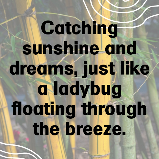 Ladybug Captions Image For Instagram In 2025-m8csP8