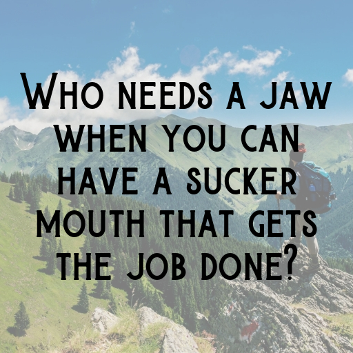 Lamprey Captions Image For Instagram In (2025)-K1FGy6