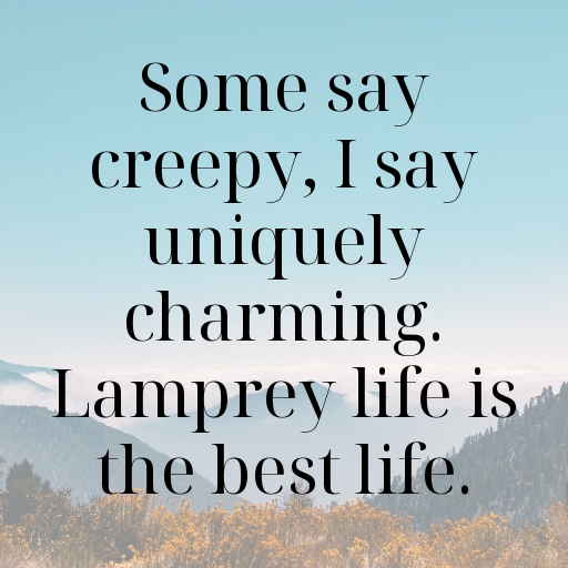 Lamprey Captions Image For Instagram In (2025)-vYZTdN