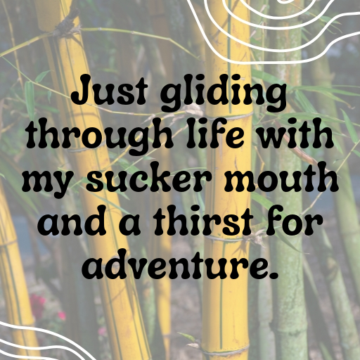 Lamprey Captions Photo For Instagram In (2025)-On5BM2