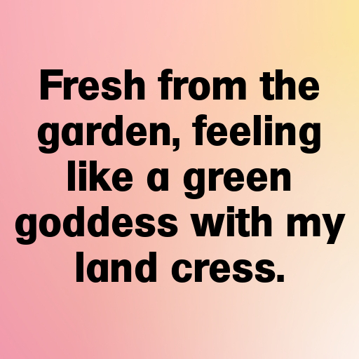 Land Cress Captions Image For Instagram In [2025]-lMxqEi