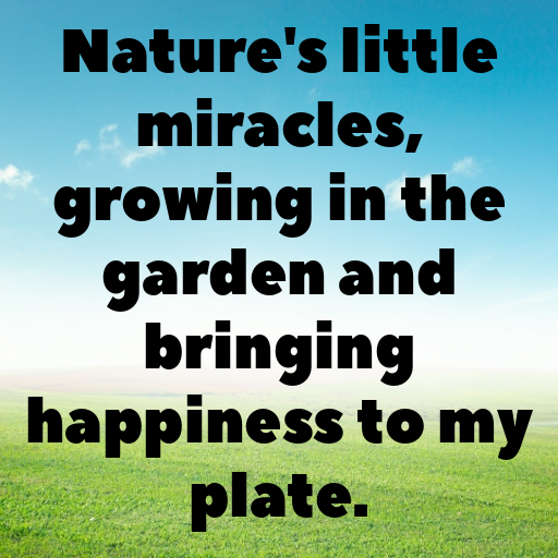 Land Cress Captions Image For Instagram In [2025]-rgBFCp