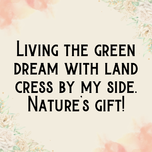 Land Cress Captions Photo For Instagram In [2025]-G4xQtj