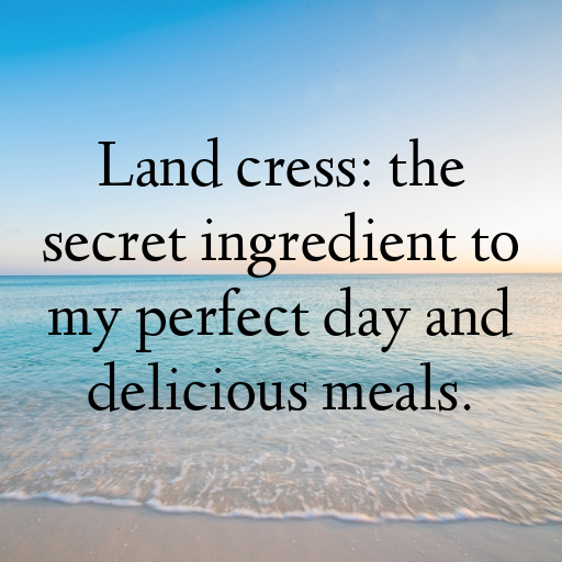 Land Cress Captions Photo For Instagram In [2025]-lrfRMG