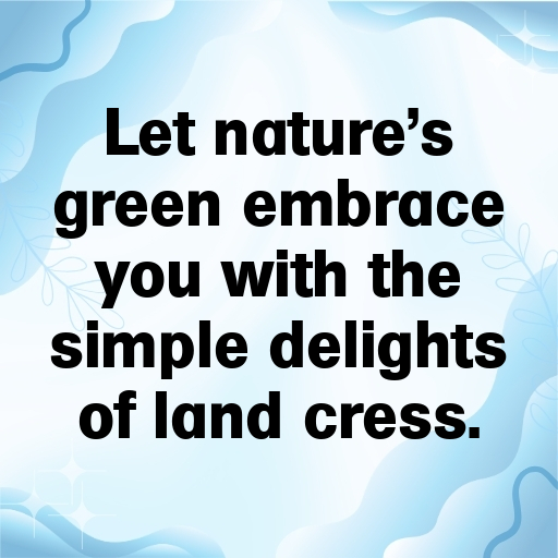 Land Cress Captions Photo For Instagram In [2025]-m6F3Uo