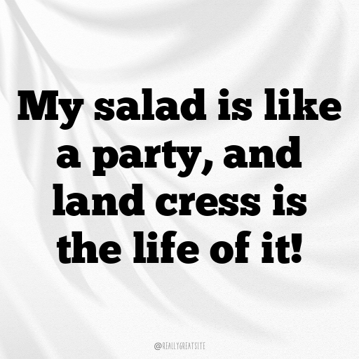 Land Cress Captions Photo For Instagram In [2025]-OZb63J