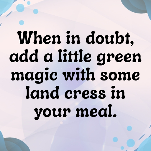 Land Cress Captions Photo For Instagram In [2025]-QjtZ2V