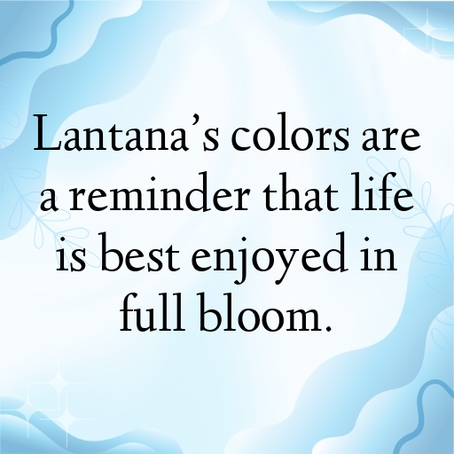 Lantana Captions Image For Instagram In (2025)-ZMW2Bc