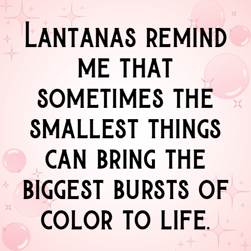 Lantana Captions Photo For Instagram In (2025)-3N4rnO