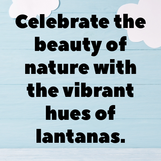 Lantana Captions Photo For Instagram In (2025)-BVjOkl