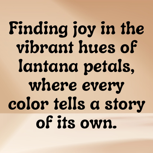 Lantana Captions Photo For Instagram In (2025)-LyarMd