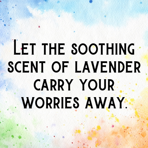 Lavender Captions Image For Instagram In [2025]-fJicIP