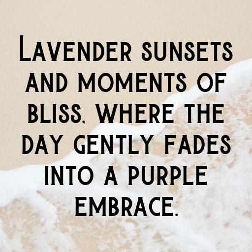 Lavender Captions Image For Instagram In [2025]-WWEzFo