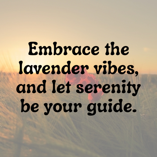 Lavender Captions Photo For Instagram In [2025]-KLy323
