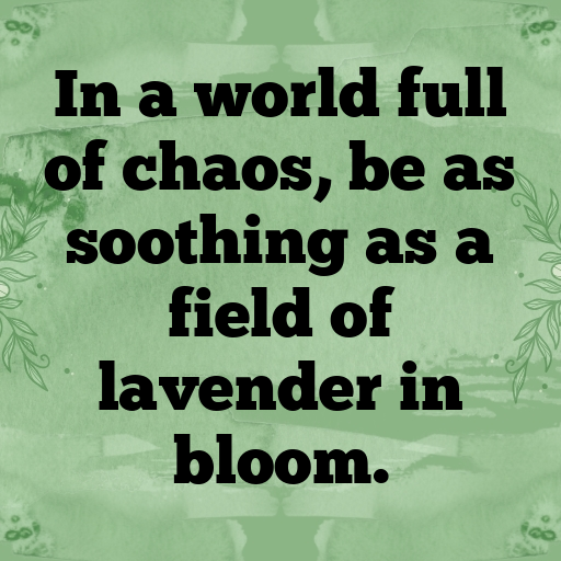 Lavender Captions Photo For Instagram In [2025]-Nm46pE