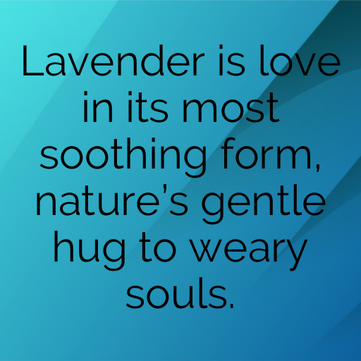 Lavender Captions Photo For Instagram In [2025]-okKRPv