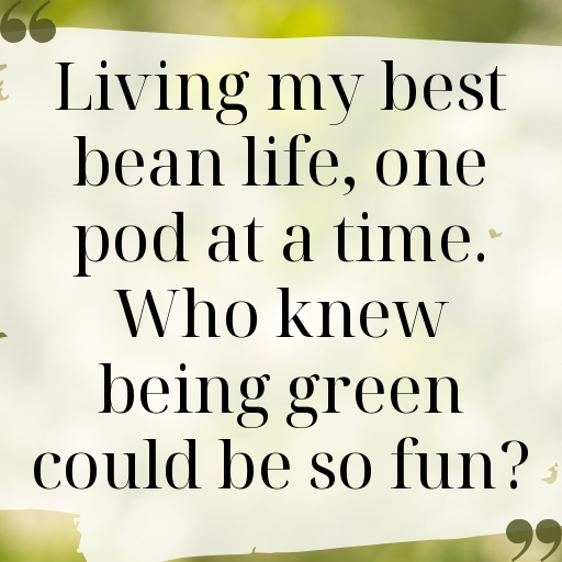 Lima Bean Captions Image For Instagram In [2025]-DYXUEP