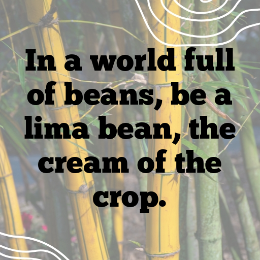 Lima Bean Captions Photo For Instagram In [2025]-biWWfj