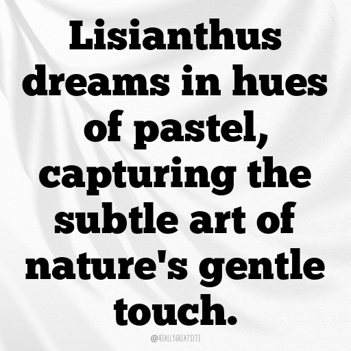 Lisianthus Captions Image For Instagram In (2025)-uwvqyI